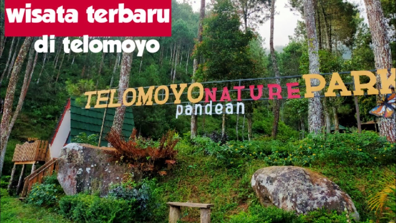 Telomoyo Nature Park: Surga Alam di Lereng Gunung Berapi